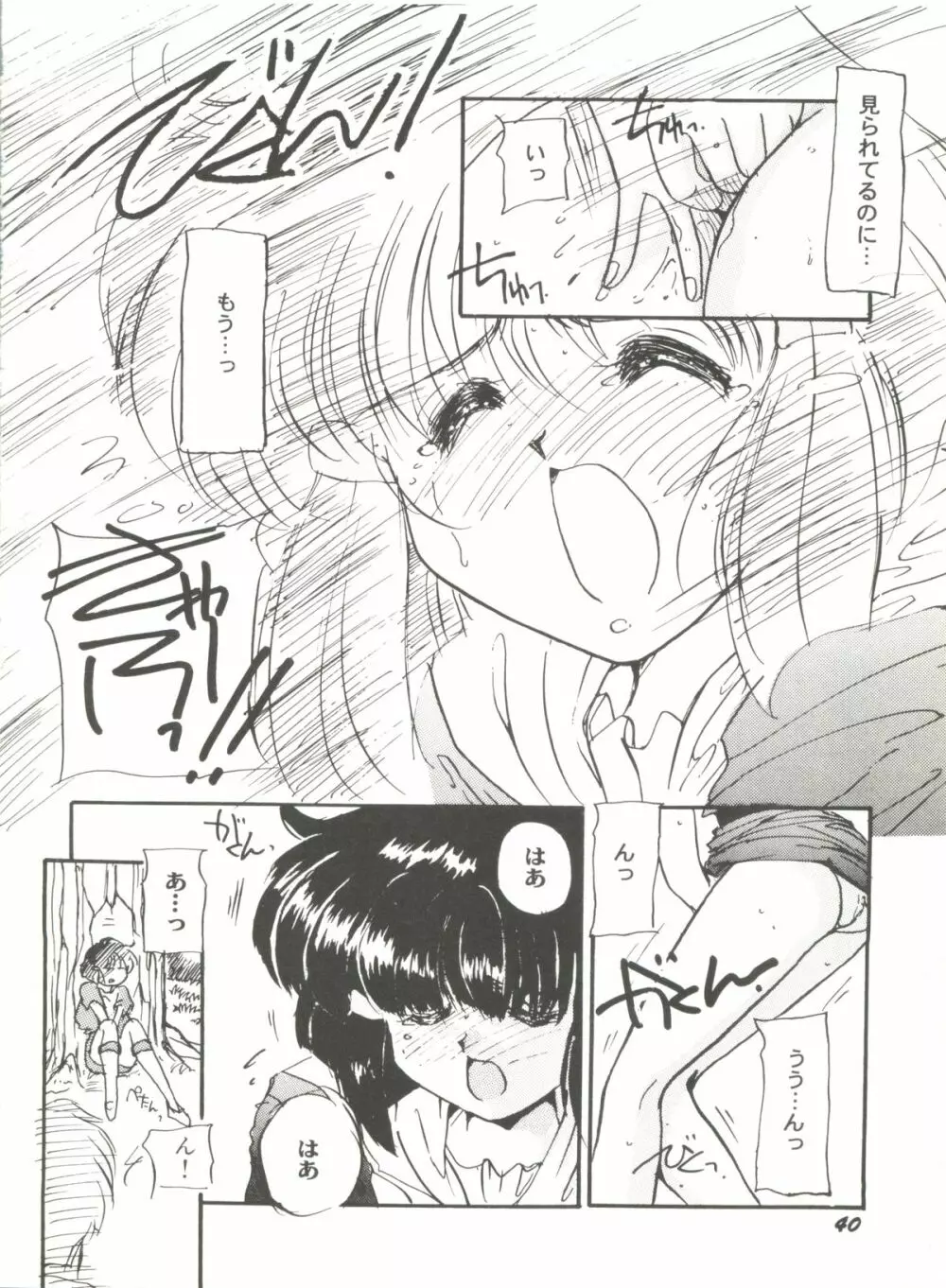 アニパロ美姫 6 Page.44