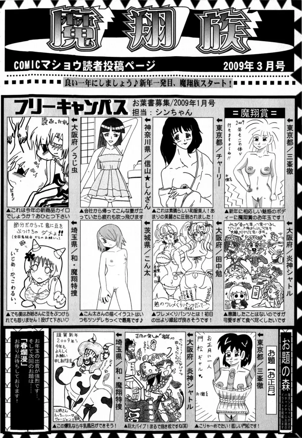コミック・マショウ 2009年3月号 Page.254