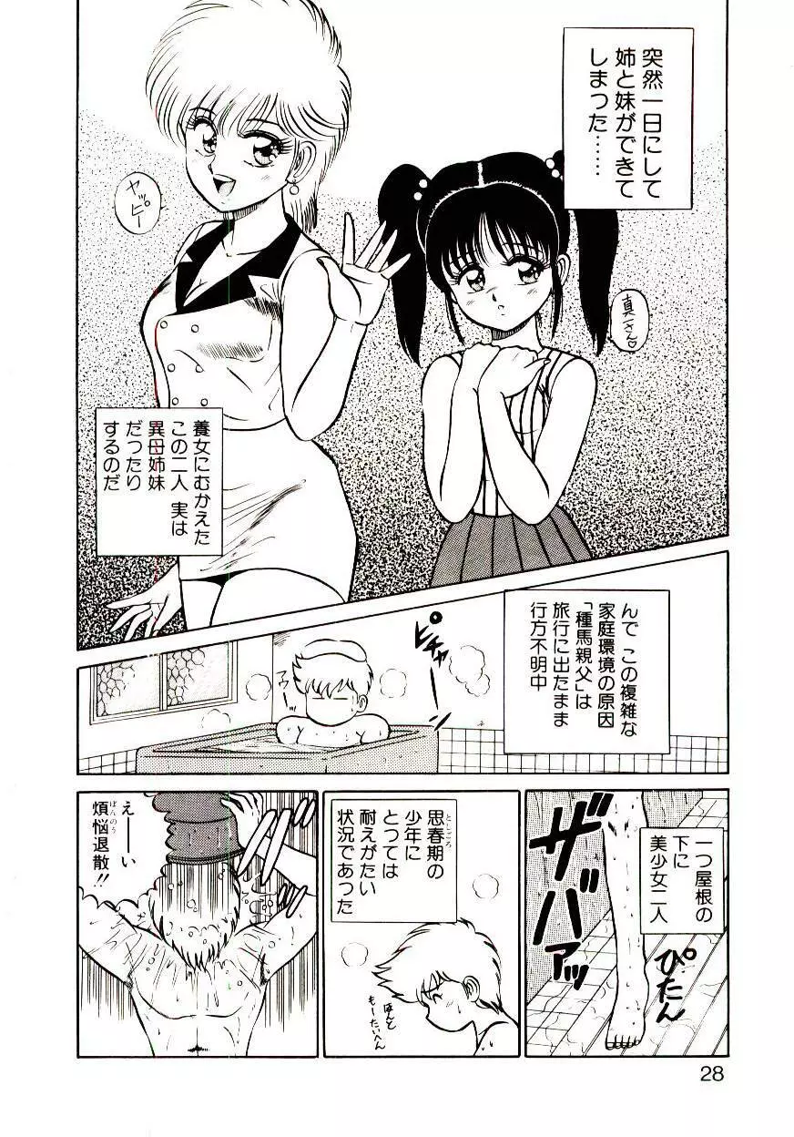 シスターズ パニック Page.29