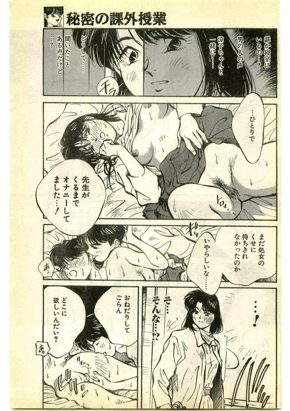 COMIC パピポ外伝 1995年1月号 Page.29