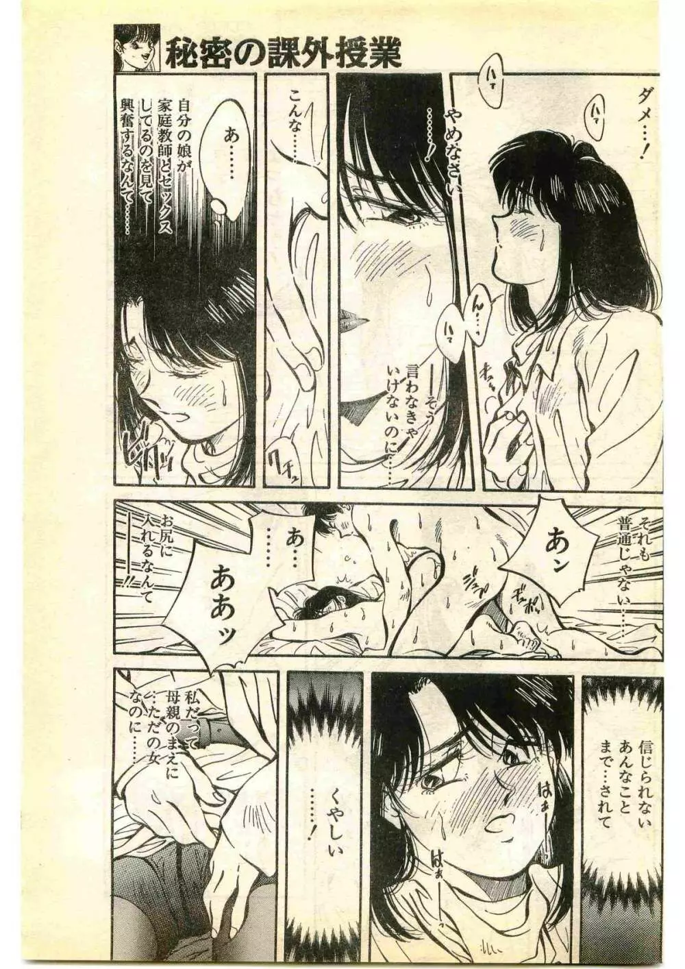 COMIC パピポ外伝 1995年1月号 Page.33