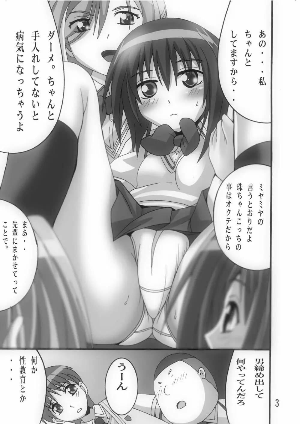 タマちゃんをお掃除し隊 Page.2