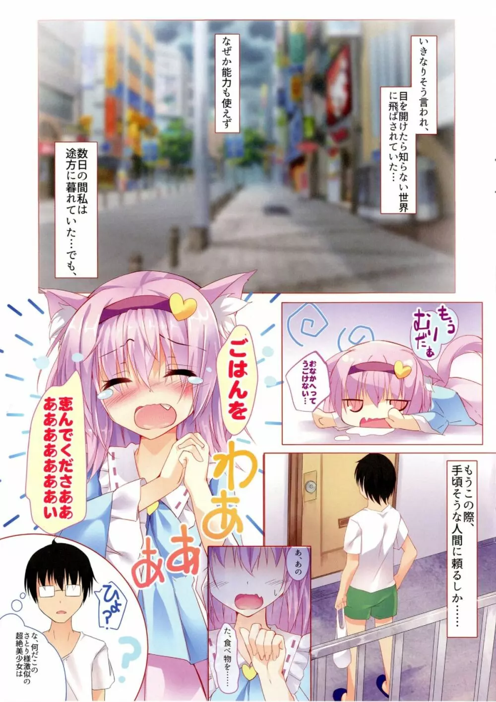 にゃとりさま、拾いました。 Page.4