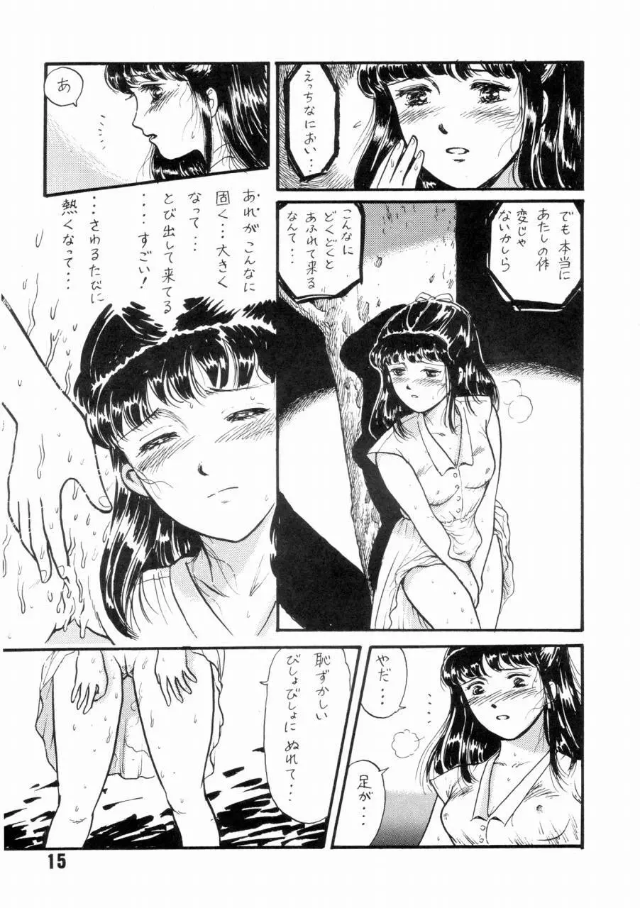 夏の夜は三たび微笑む Page.14