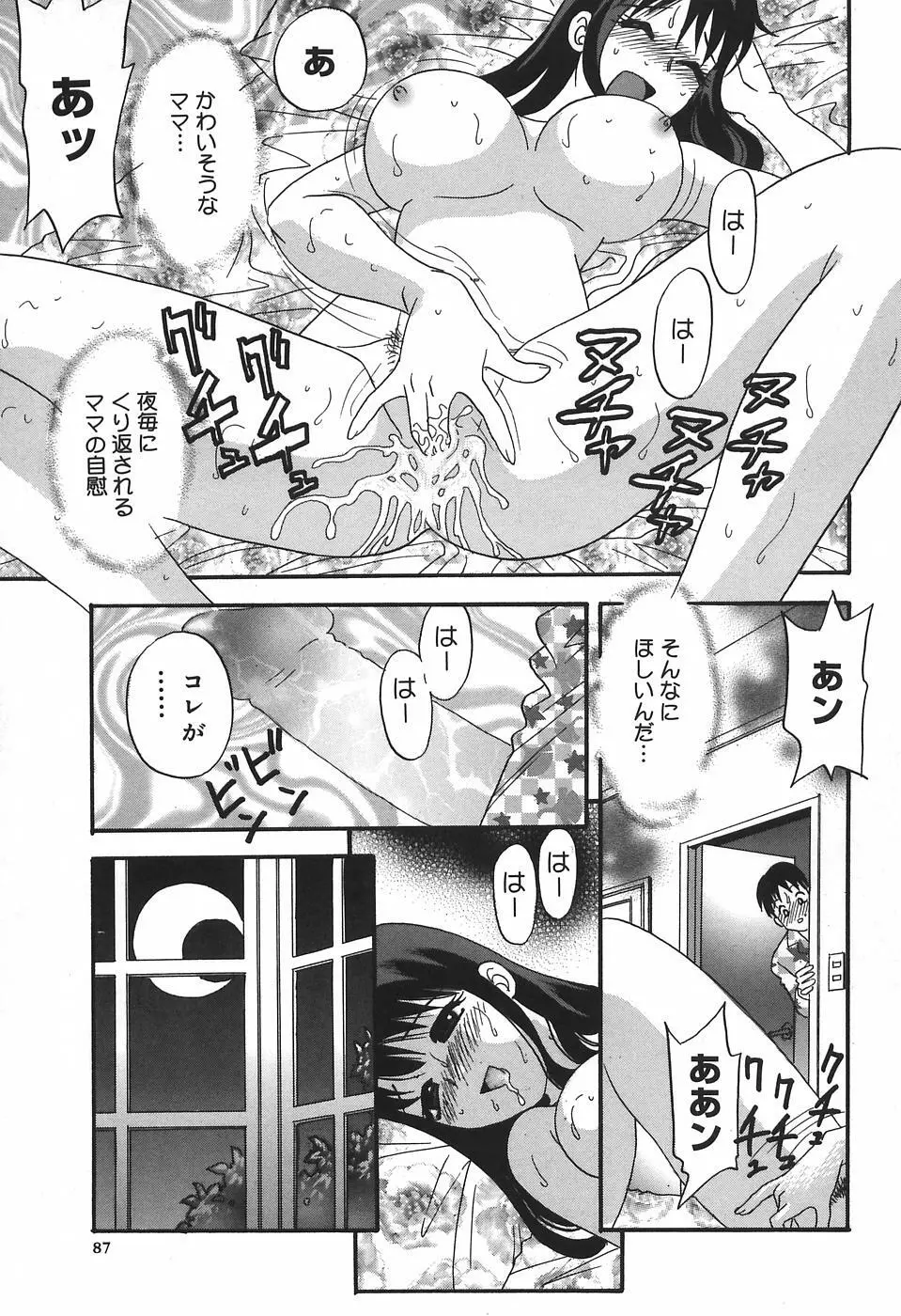 チカンプレイ Page.91