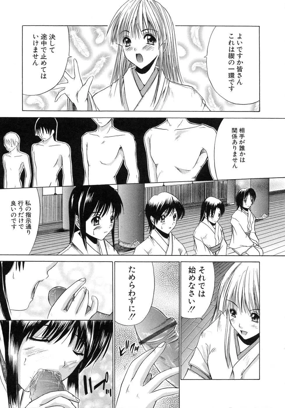 青葉木菟 Page.13