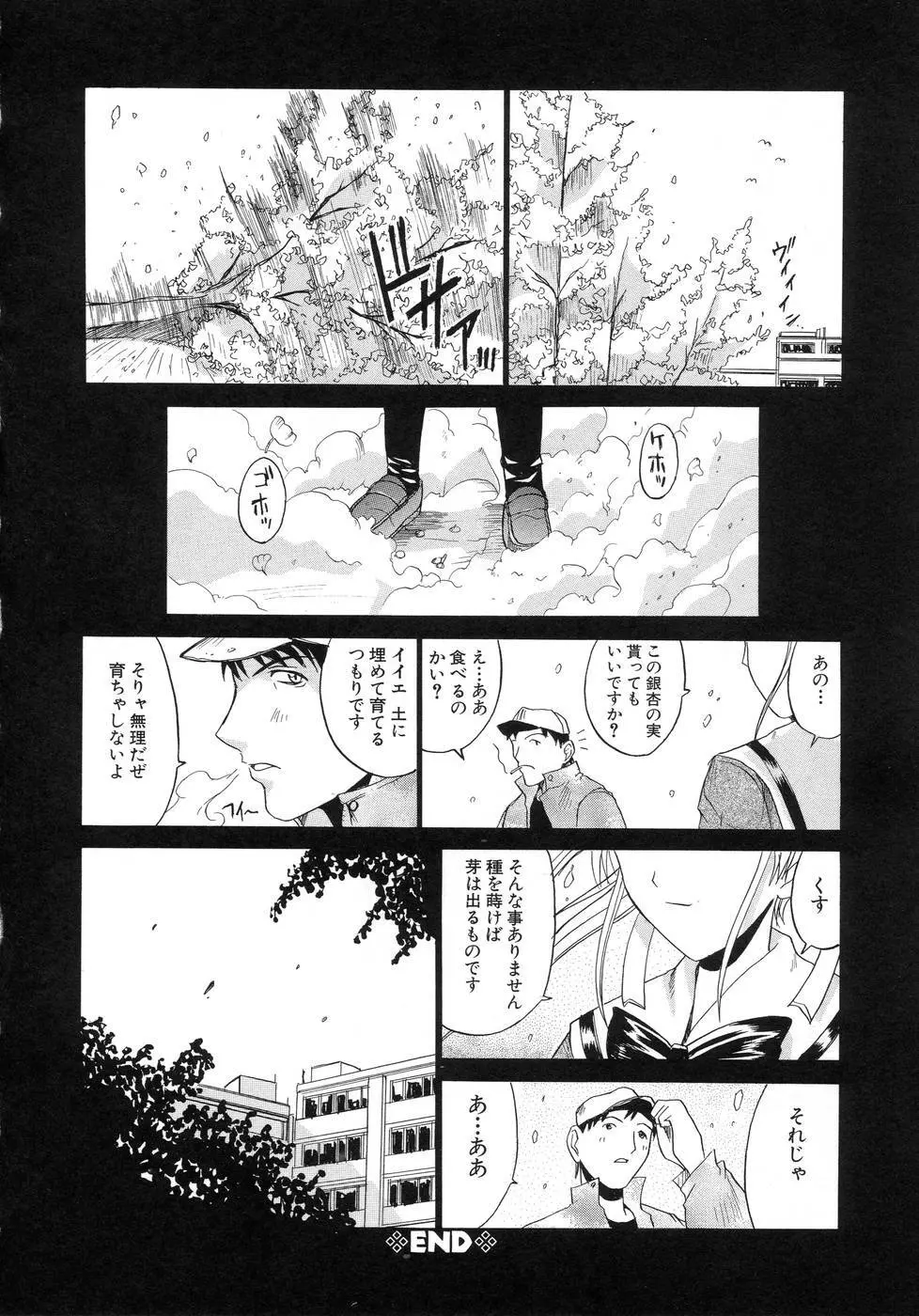 青葉木菟 Page.168