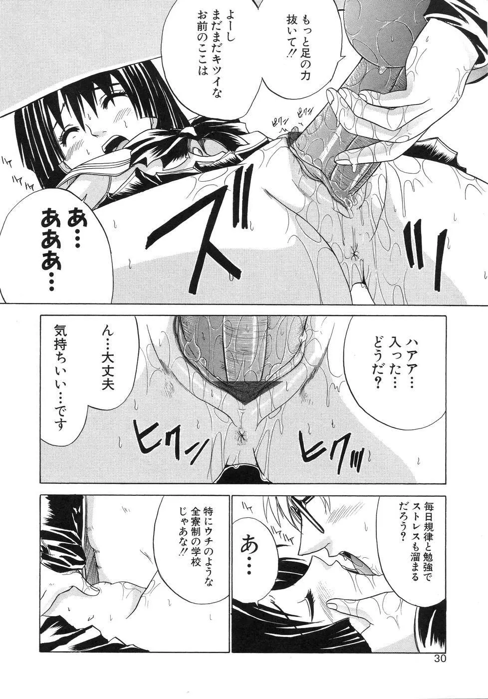 青葉木菟 Page.34