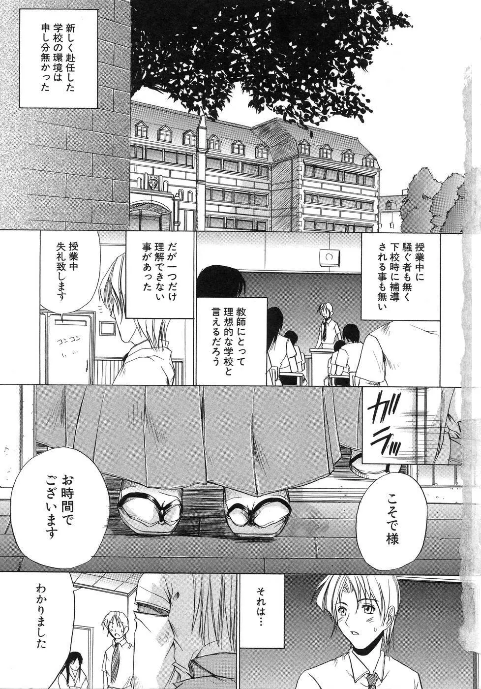 青葉木菟 Page.9