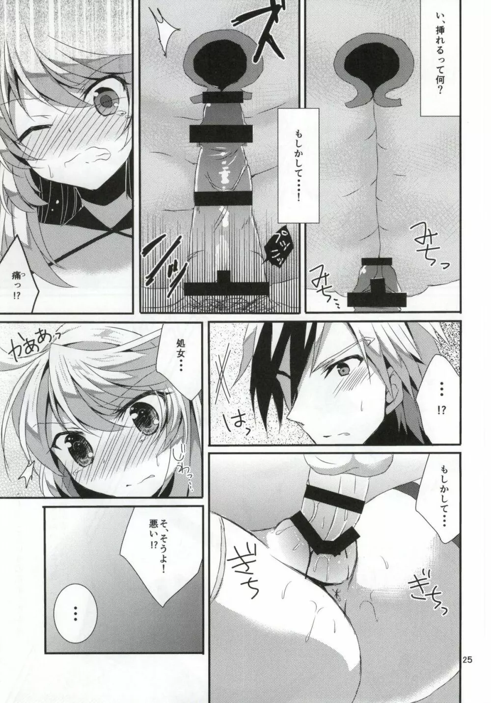 ルドミラスイートダイアリー Page.24