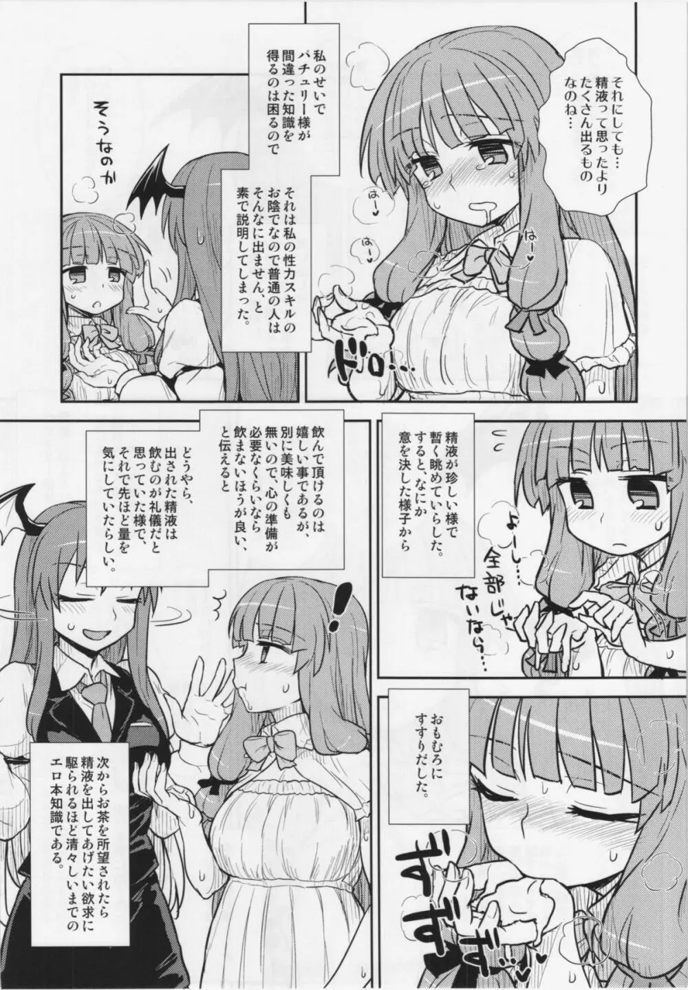 小悪魔のパチュリー観察記 Page.15