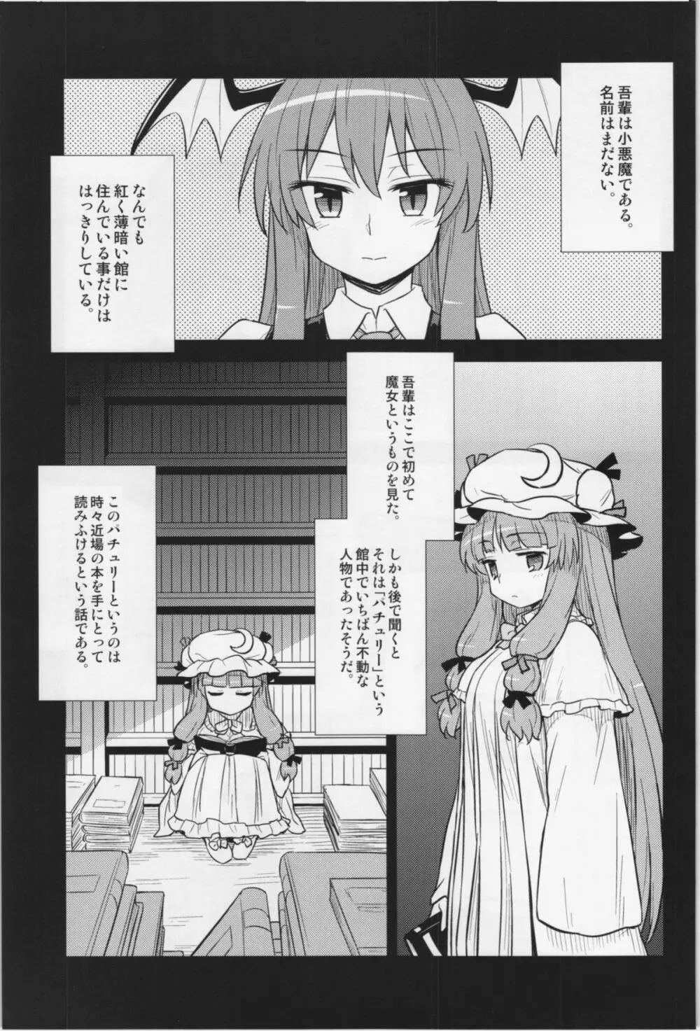 小悪魔のパチュリー観察記 Page.3