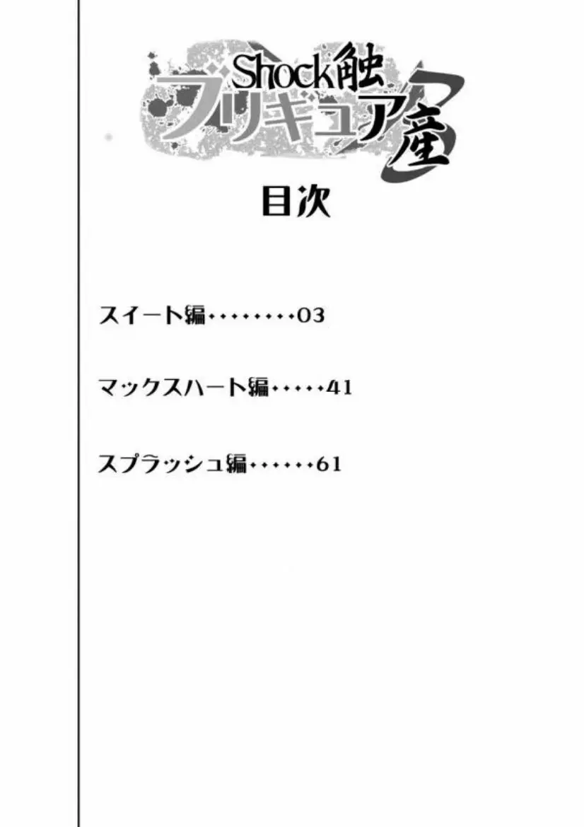 shock触ブリギュア4 Page.3
