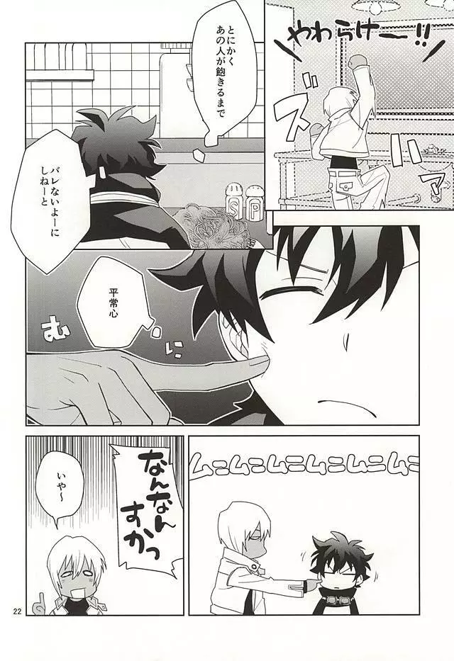 深刻なエラーが発生しました。 Page.20