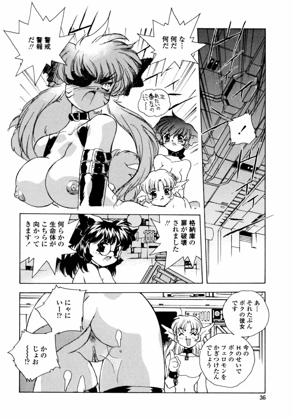 ワイルドキャットパイレーツ Page.35