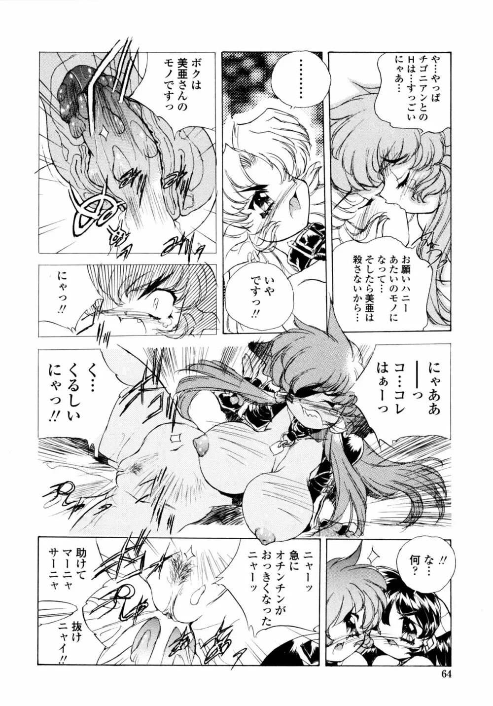 ワイルドキャットパイレーツ Page.63