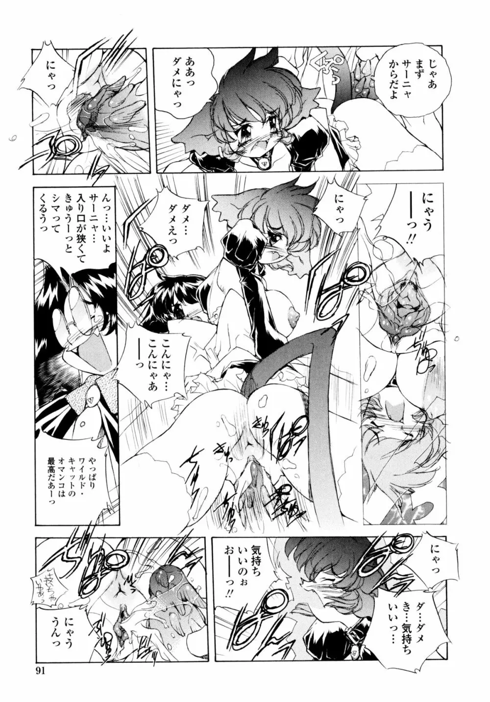 ワイルドキャットパイレーツ Page.90