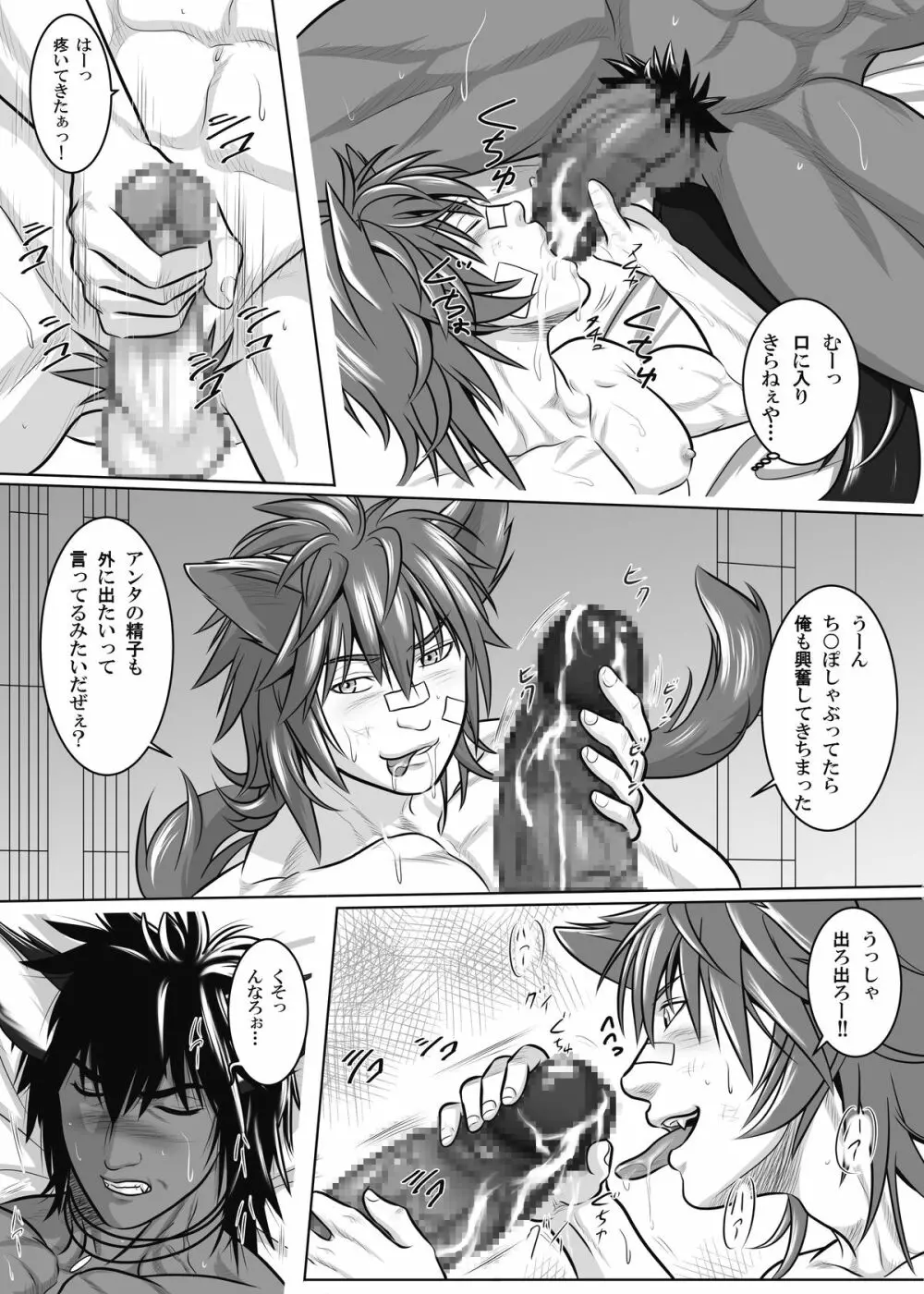 ヴァニラ・リンクス、トライエッジ2 Page.15