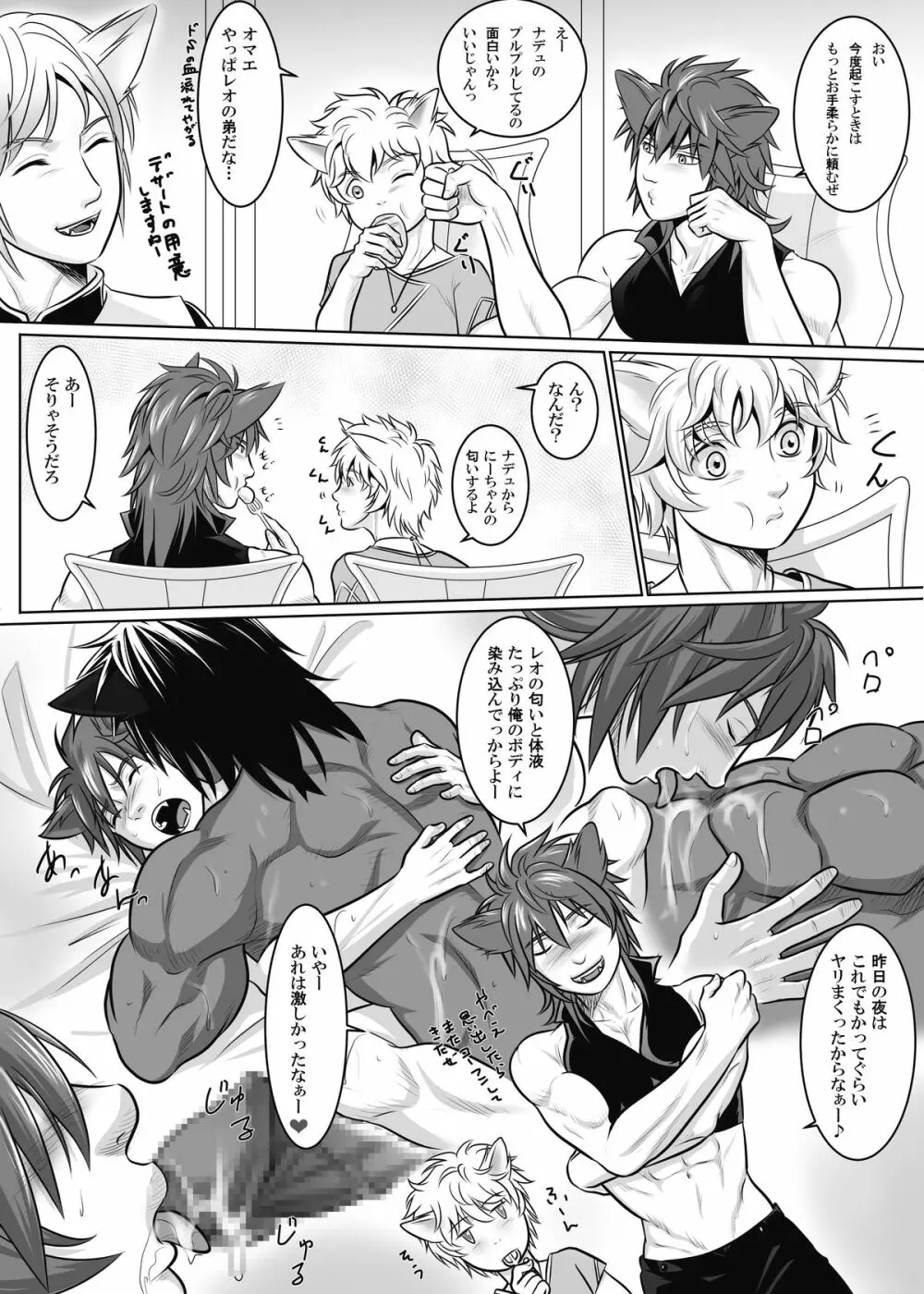 ヴァニラ・リンクス、トライエッジ2 Page.6