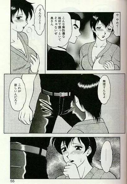 紫苑の夜 Page.52