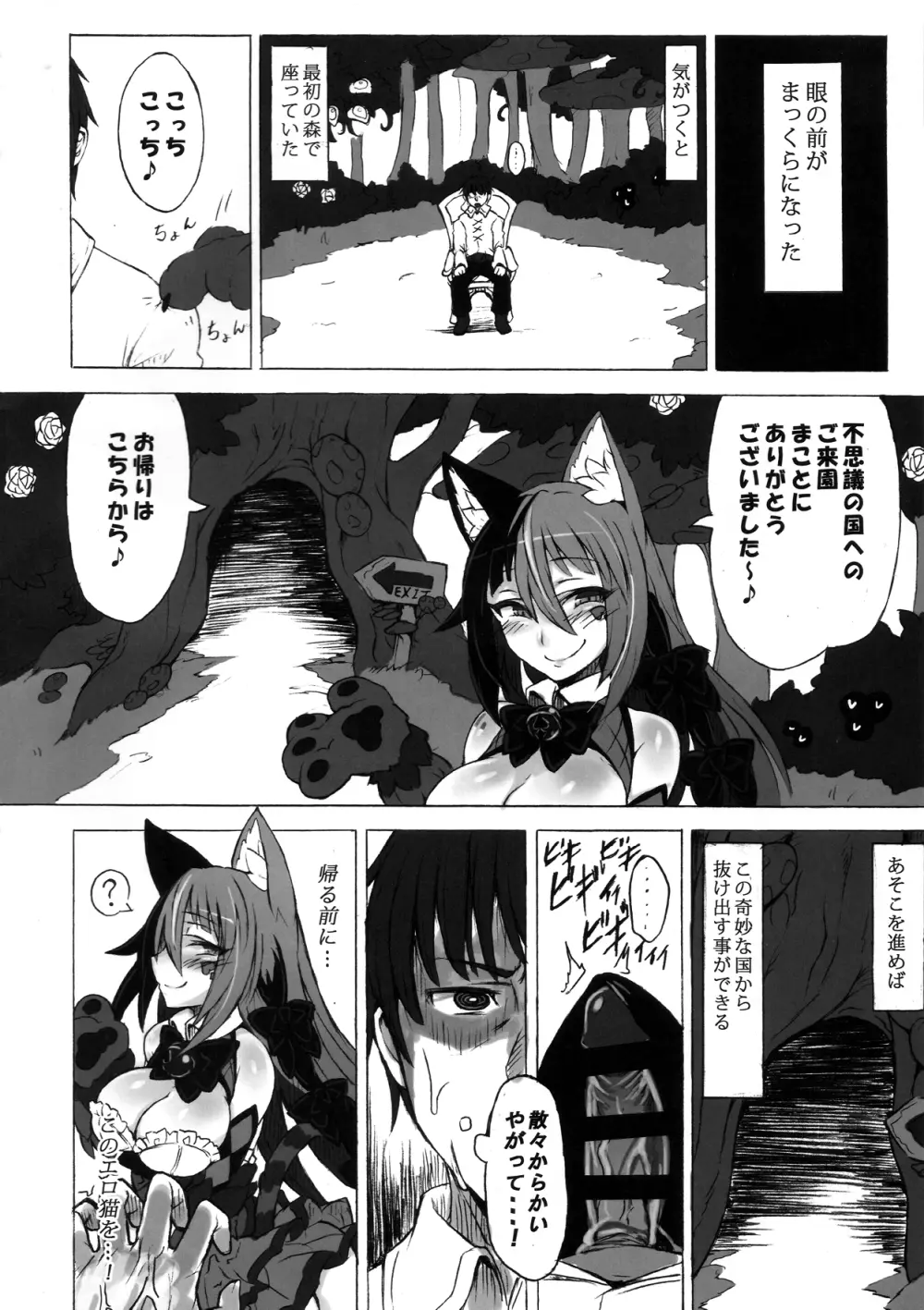 魔物娘図鑑・被害報告 ～チェシャ猫のおいでませ不思議の国～ Page.18