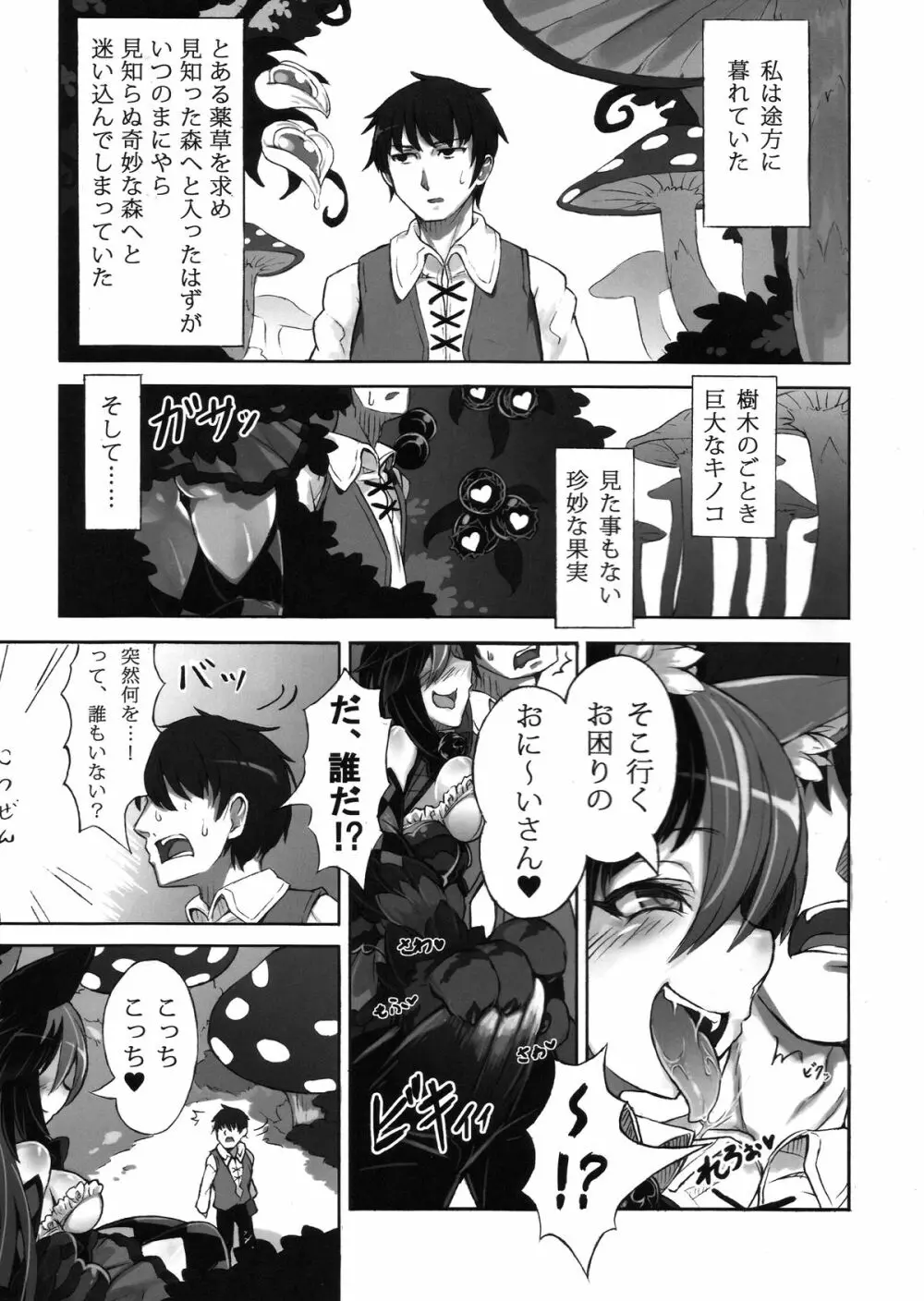 魔物娘図鑑・被害報告 ～チェシャ猫のおいでませ不思議の国～ Page.3