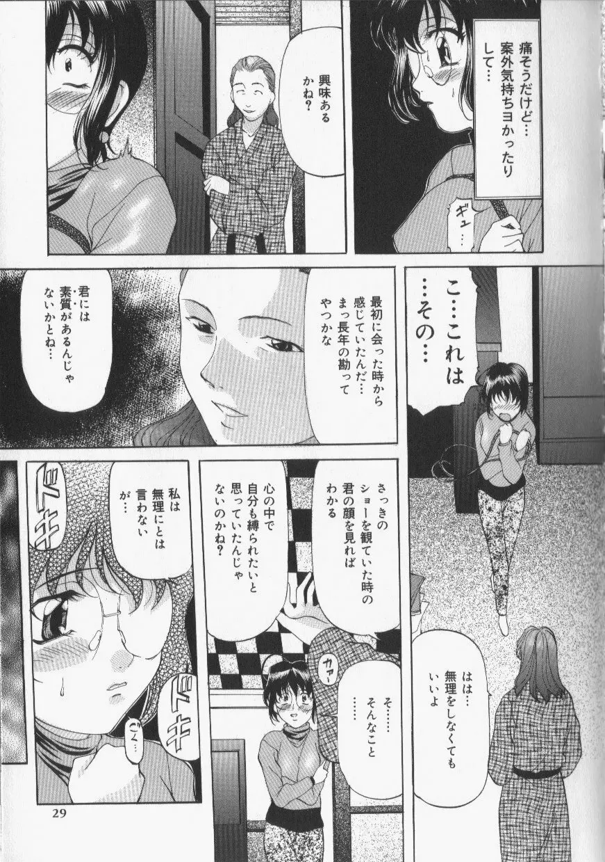 スレイブ・レッスン Page.27