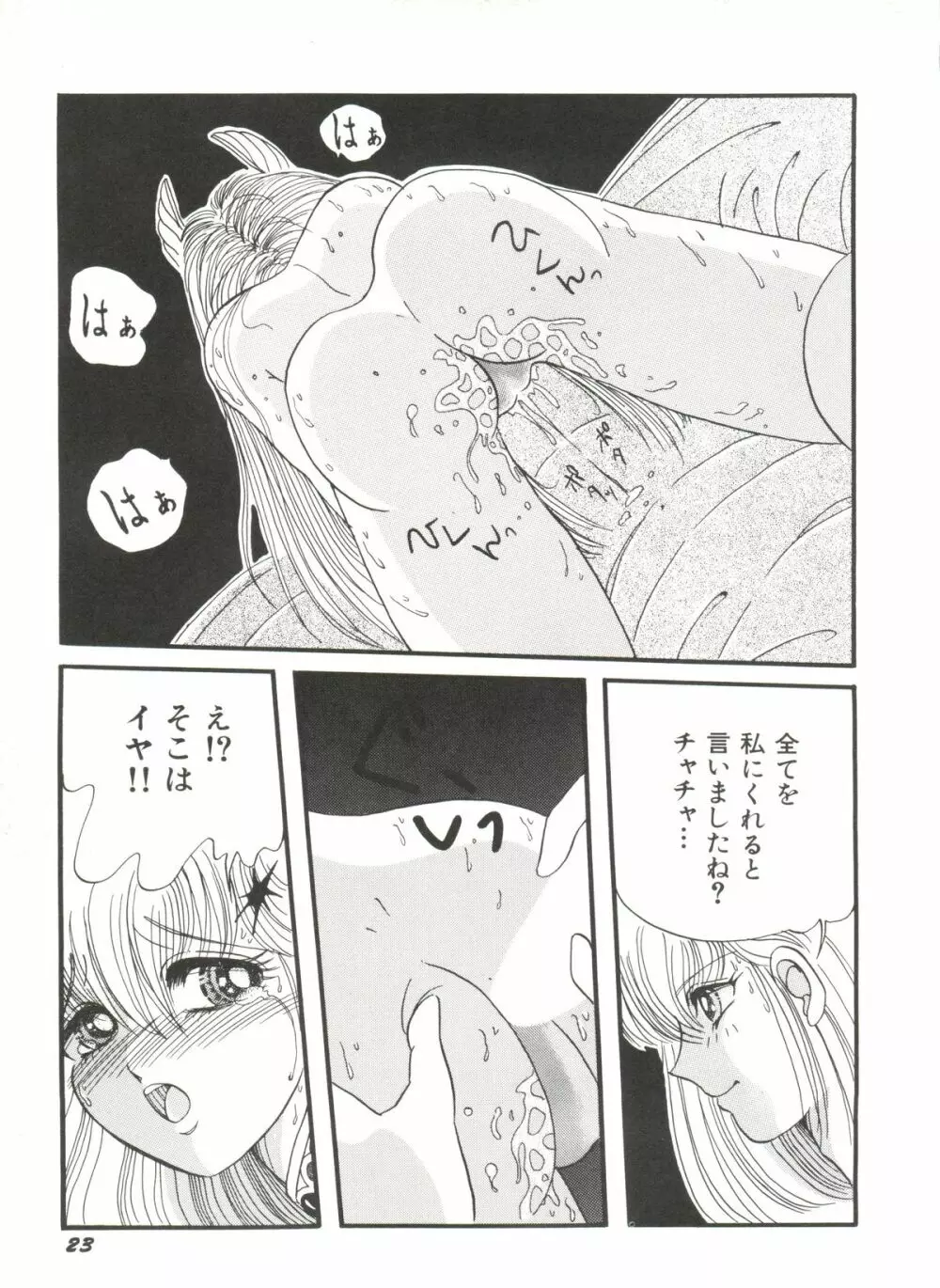 アニパロ美姫 1 Page.25