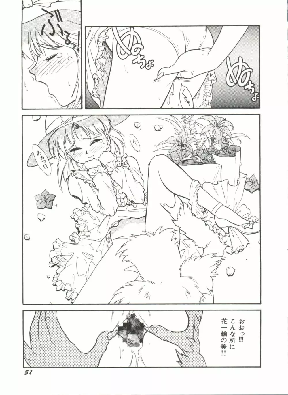 アニパロ美姫 1 Page.53