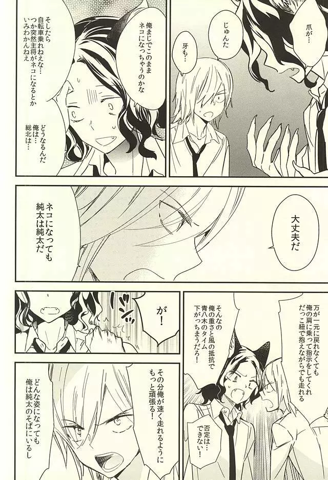 ネコでごめんニャ Page.7