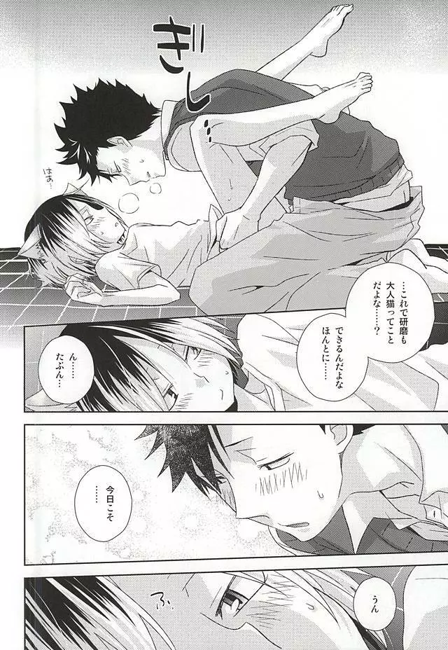 猫男一族の交尾レポート Page.31