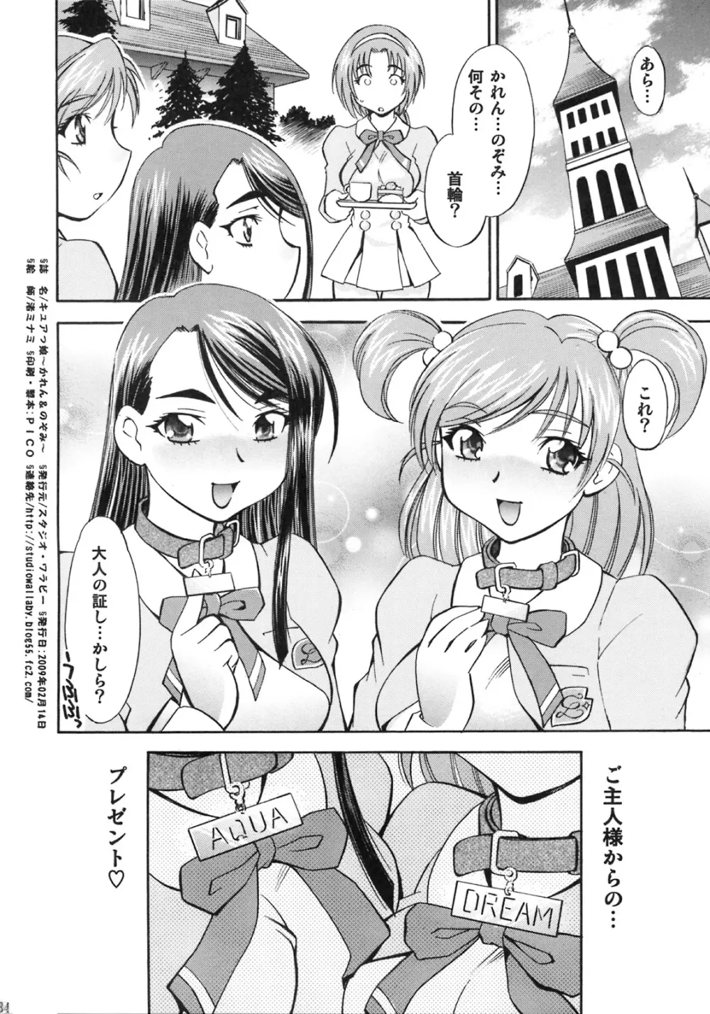 キュアっ娘 かれん&のぞみ Page.31