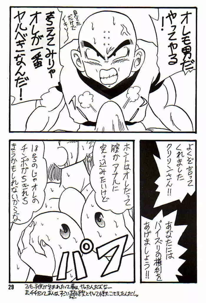 Play Dragon 3 Page.29