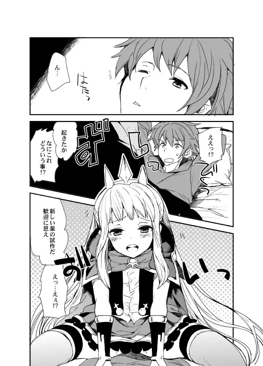 グラカリ5 Page.4