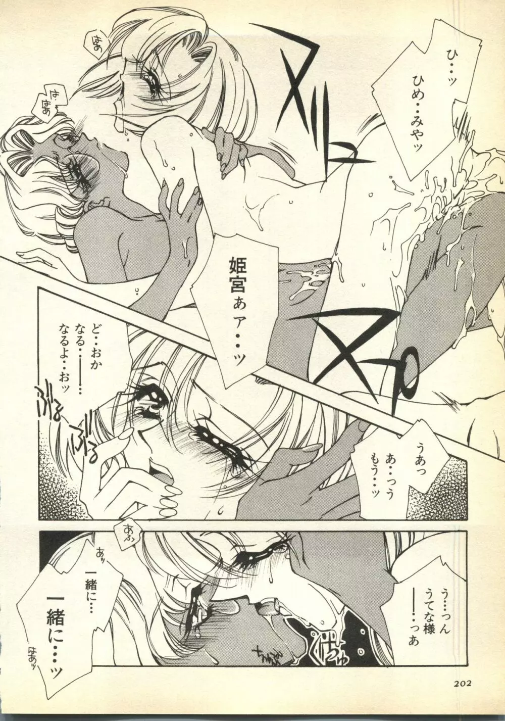 パイク 第六號 Page.202