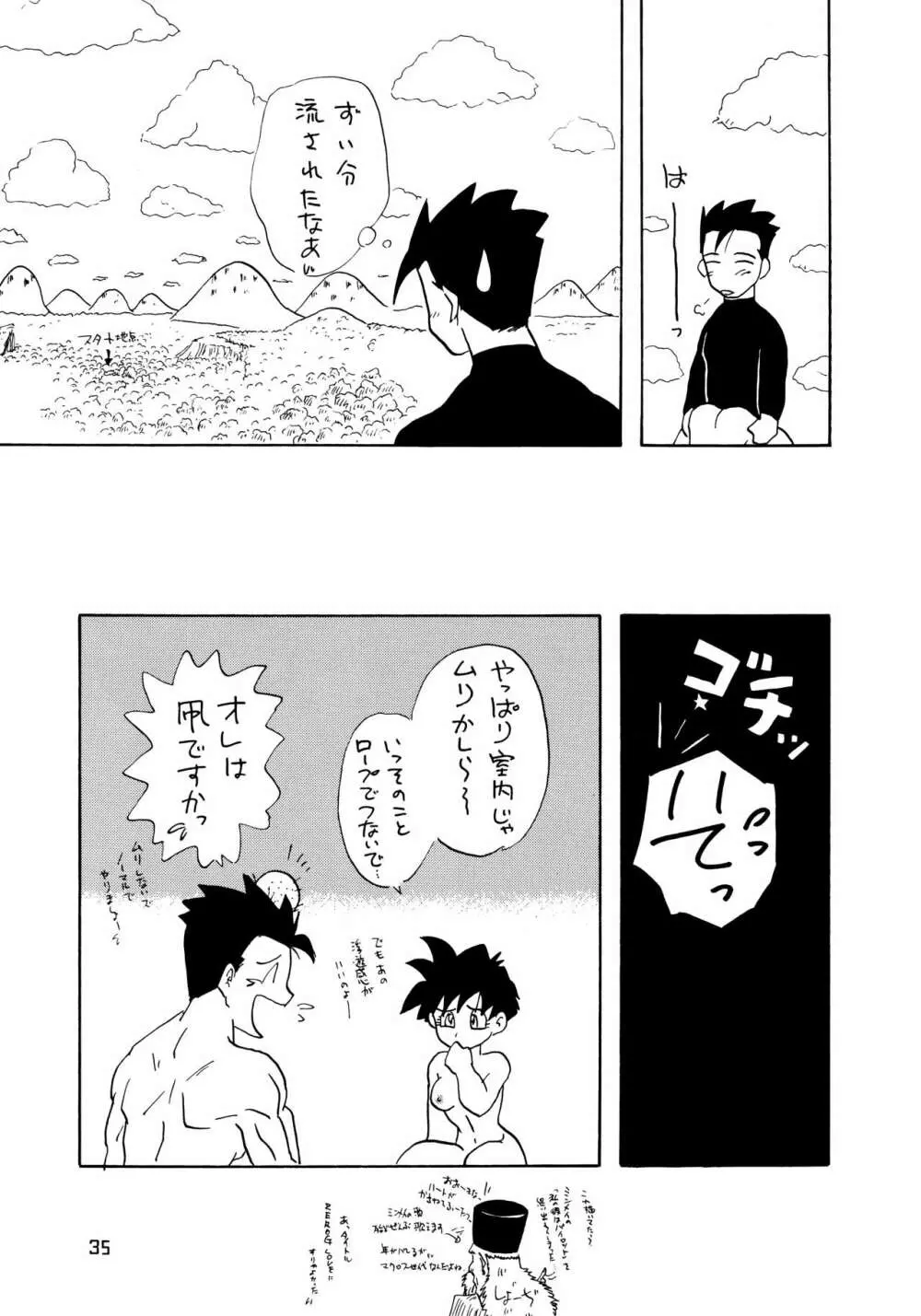 YYY Page.34