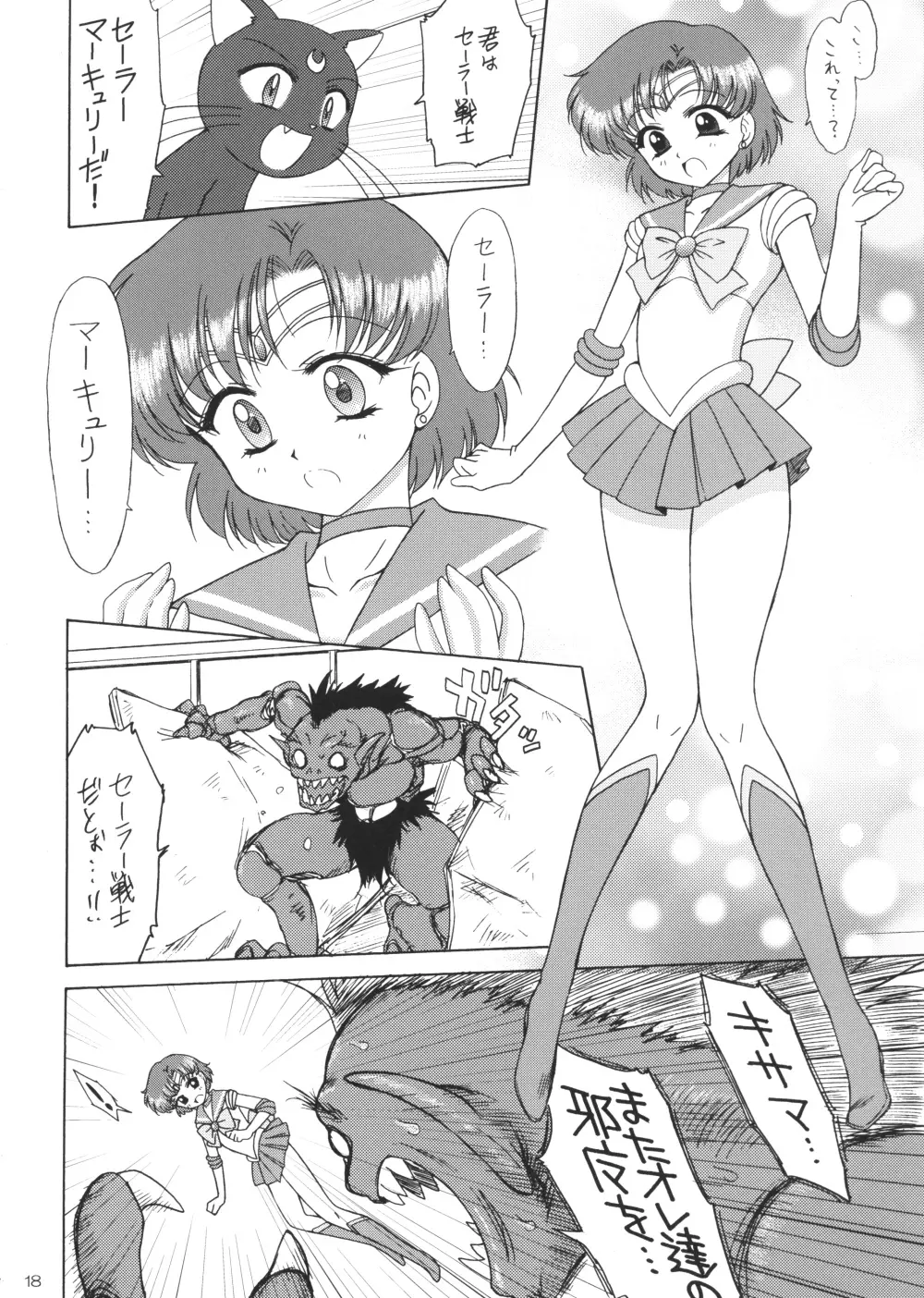 SUBMISSION-R RE・MERCURY Page.17