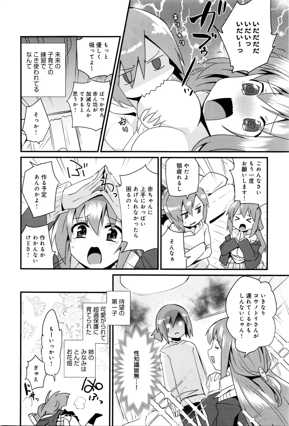 姉ちゃんはよく分かってない。第1-2話 Page.2