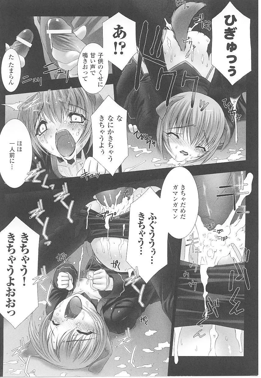 闘うヒロイン陵辱アンソロジー 闘姫陵辱 17 Page.76