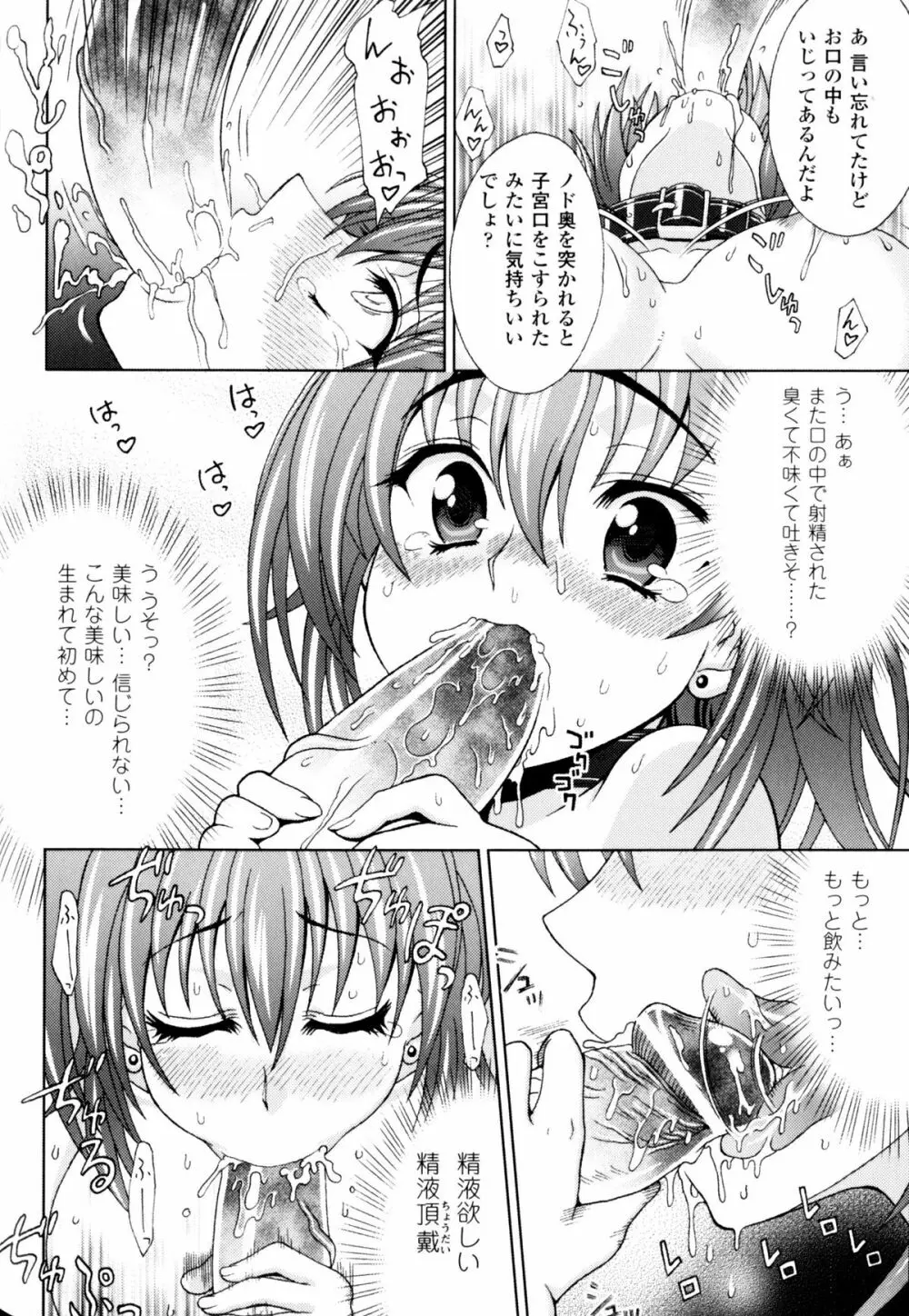 スレイブヒロインズ Vol.11 Page.17