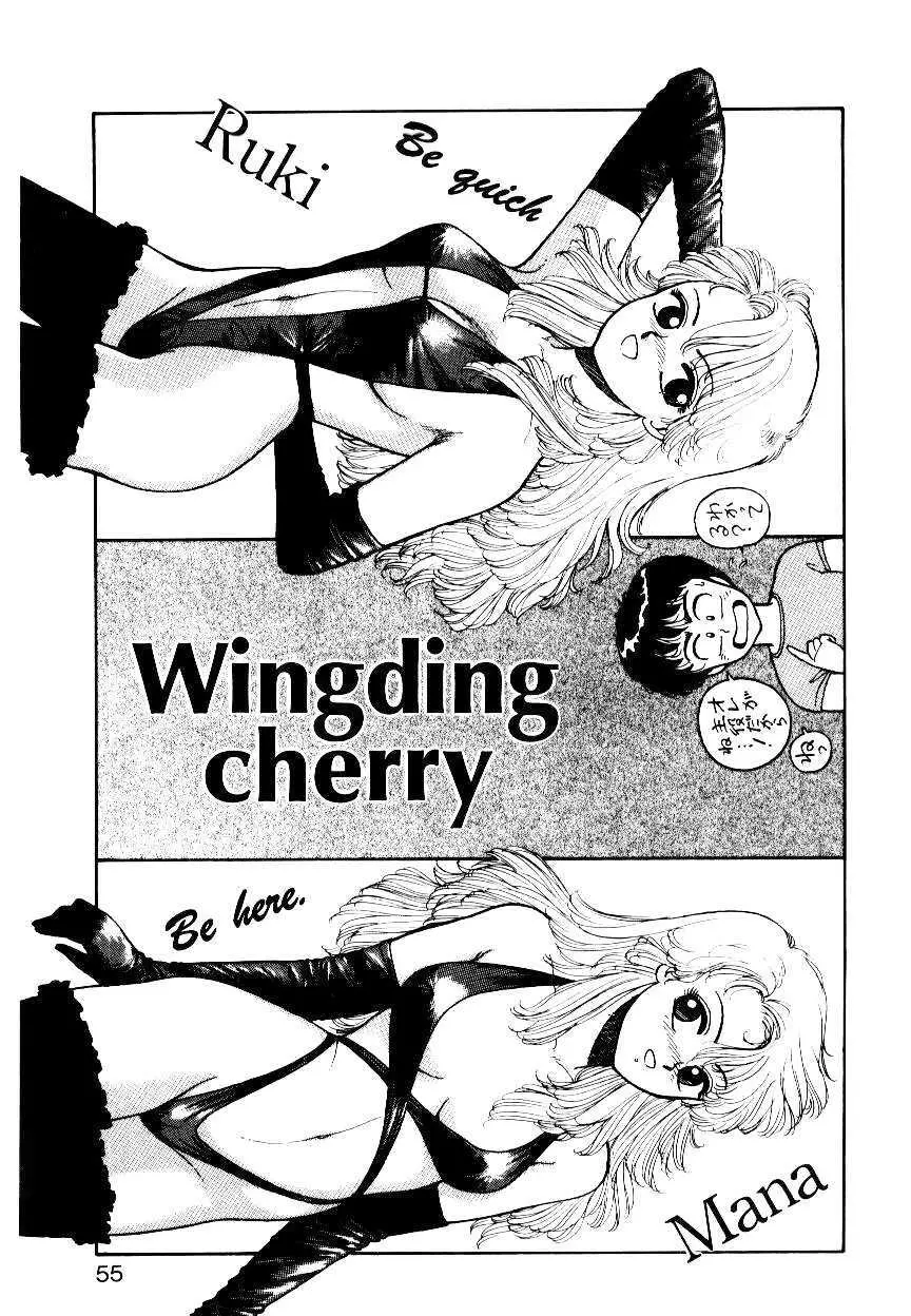 Wingding Party Page.53