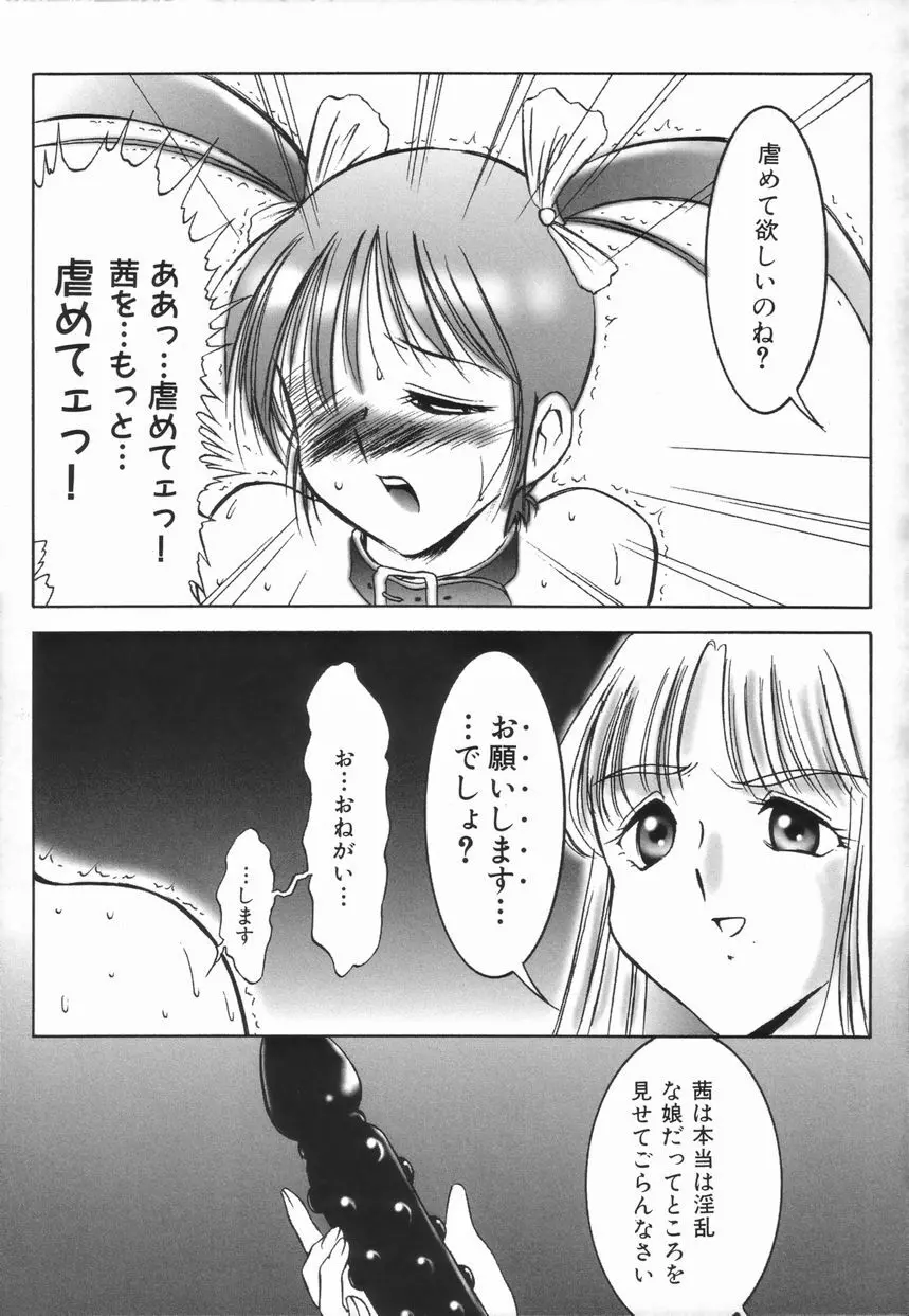 ストイック・ダイアリー Page.81