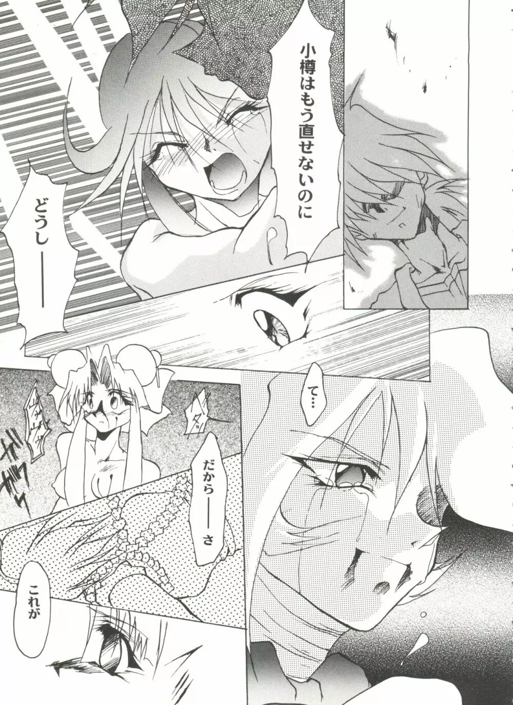 アニパロ美姫9 Page.31