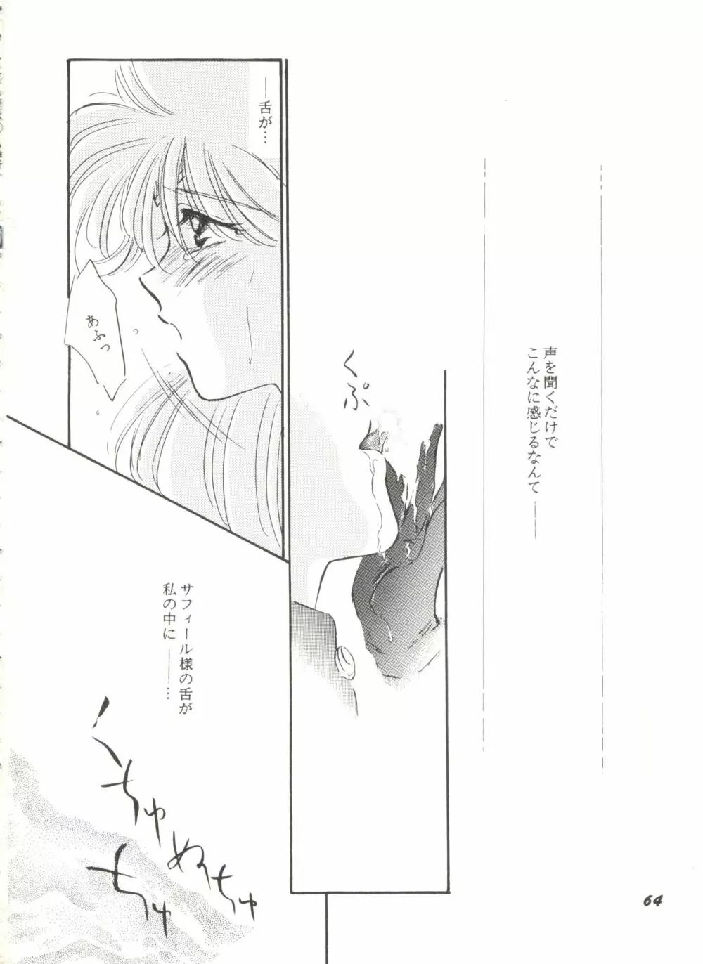 アニパロ美姫9 Page.65