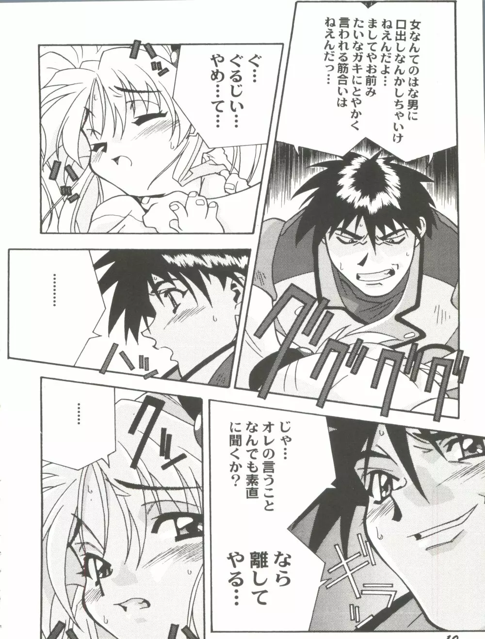 アニパロ美姫11 Page.14