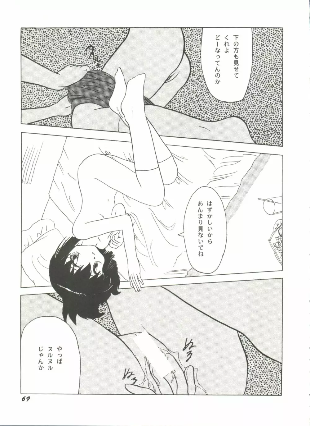 アニパロ美姫11 Page.73