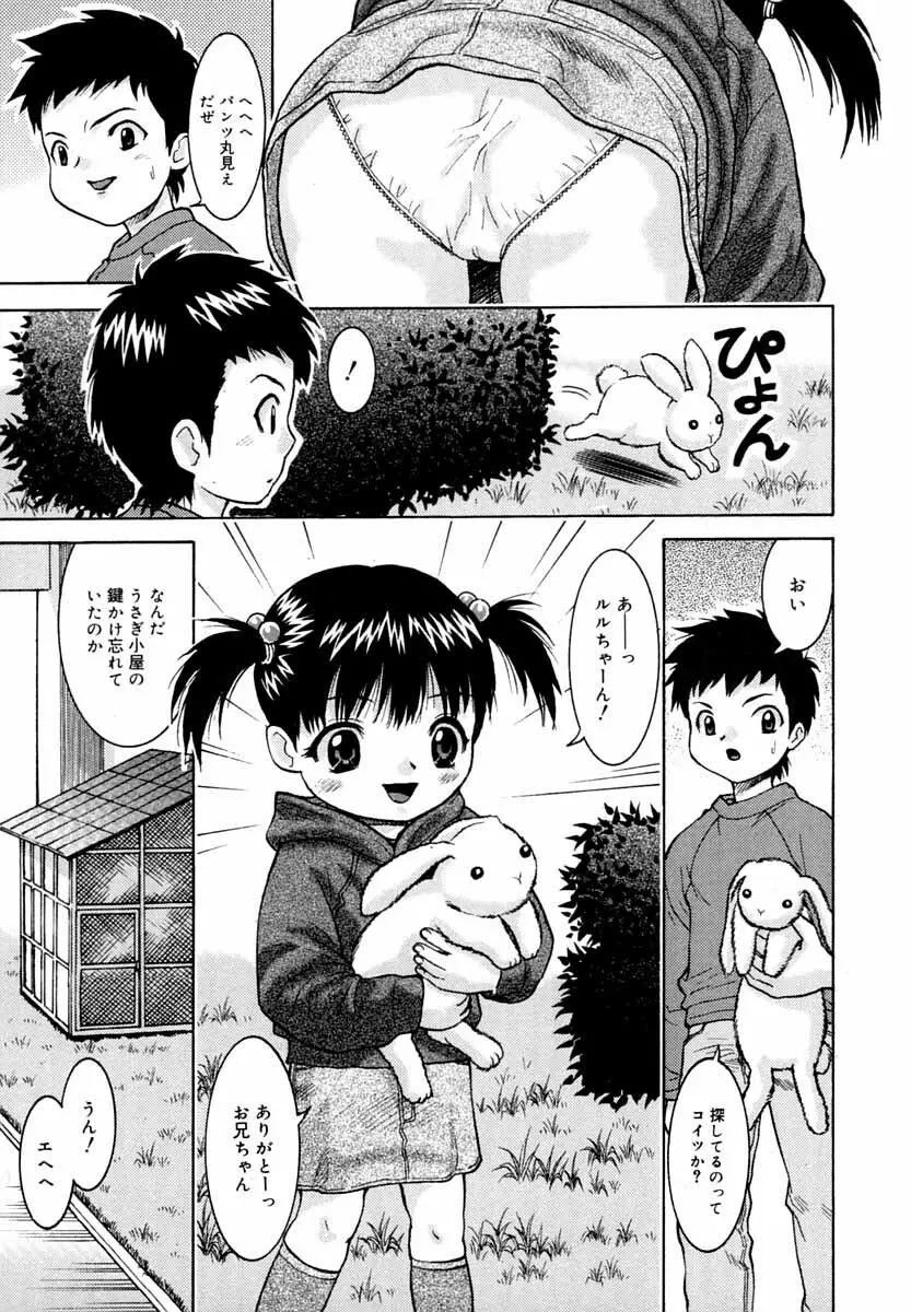 微乳 マニフェスト Page.24