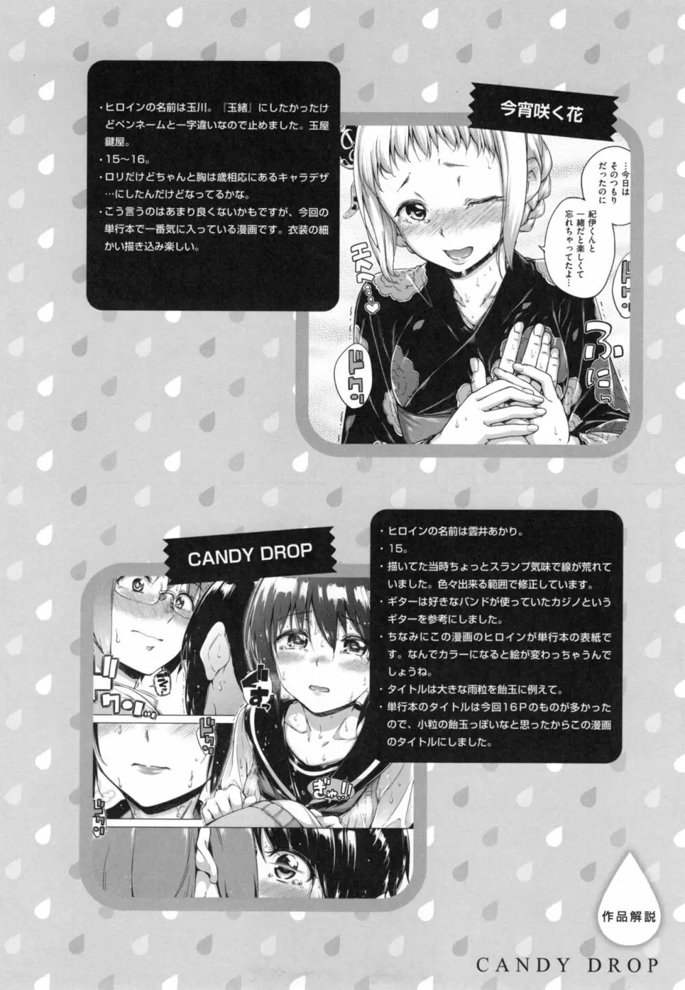 キャンディドロップ + とらのあなリーフレット Page.213