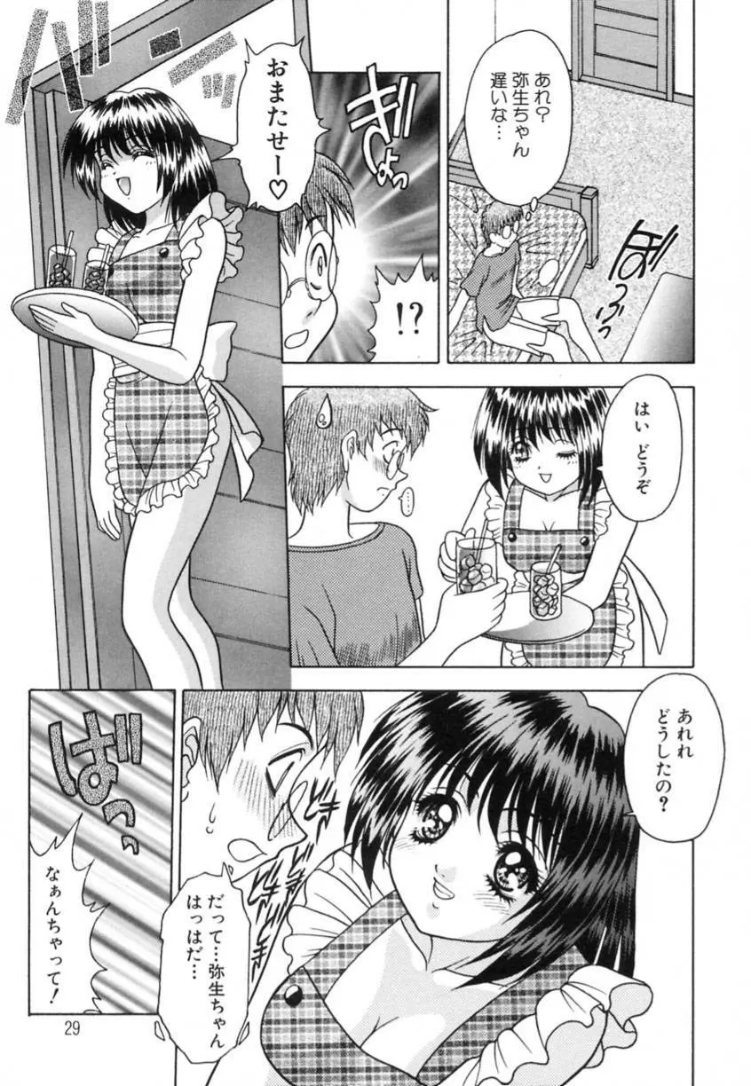 弥生プレリュード Page.29