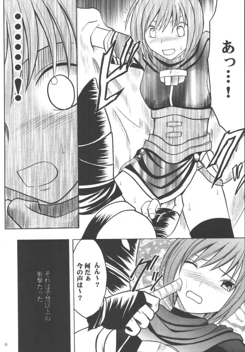 ネルハード Page.17